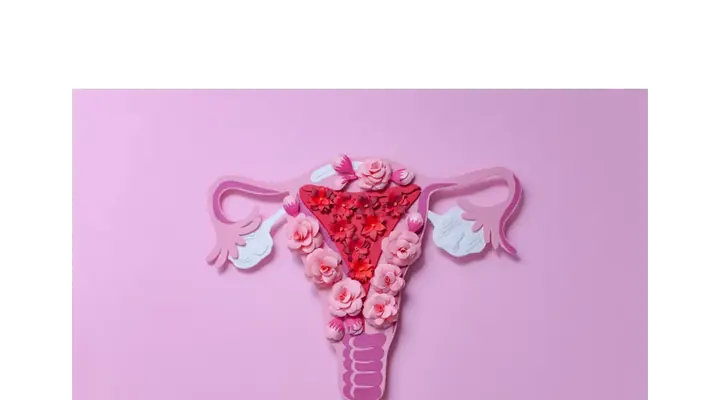 A pink, purple and red illustration of the female uterus, cervix and ovaries decorated with flowers