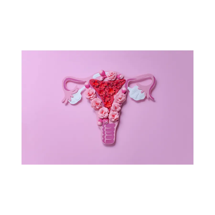 A pink, purple and red image of the female uterus, cervix and ovaries decorated with flowers. 