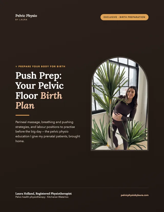 Cover of Push Prep, your pelvic floor birth plan