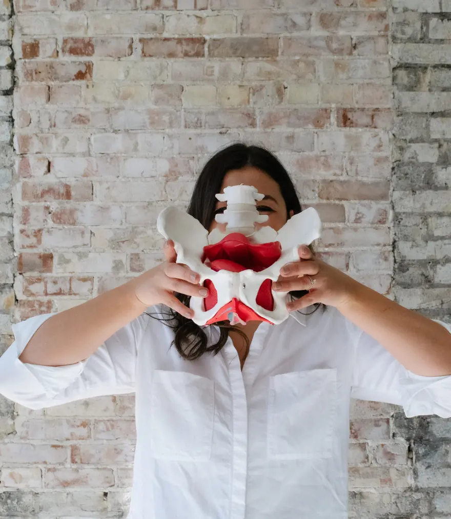 Laura Holland holding a model of a female pelvis in front of her face
